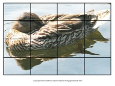 Puzzle-Stockente-10.pdf